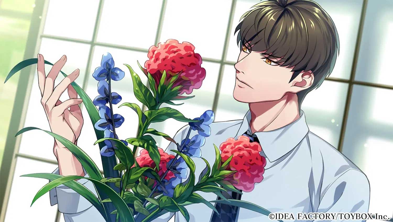 7 Scarlet  Switch дополнительное изображение 2