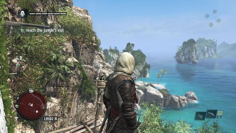 Assassin Creed IV Black Flag Русские субтитры PS4 дополнительное изображение 3