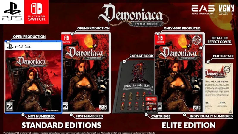Demoniaca Everlasting Night Elite Edition US Nintendo Switch дополнительное изображение 1