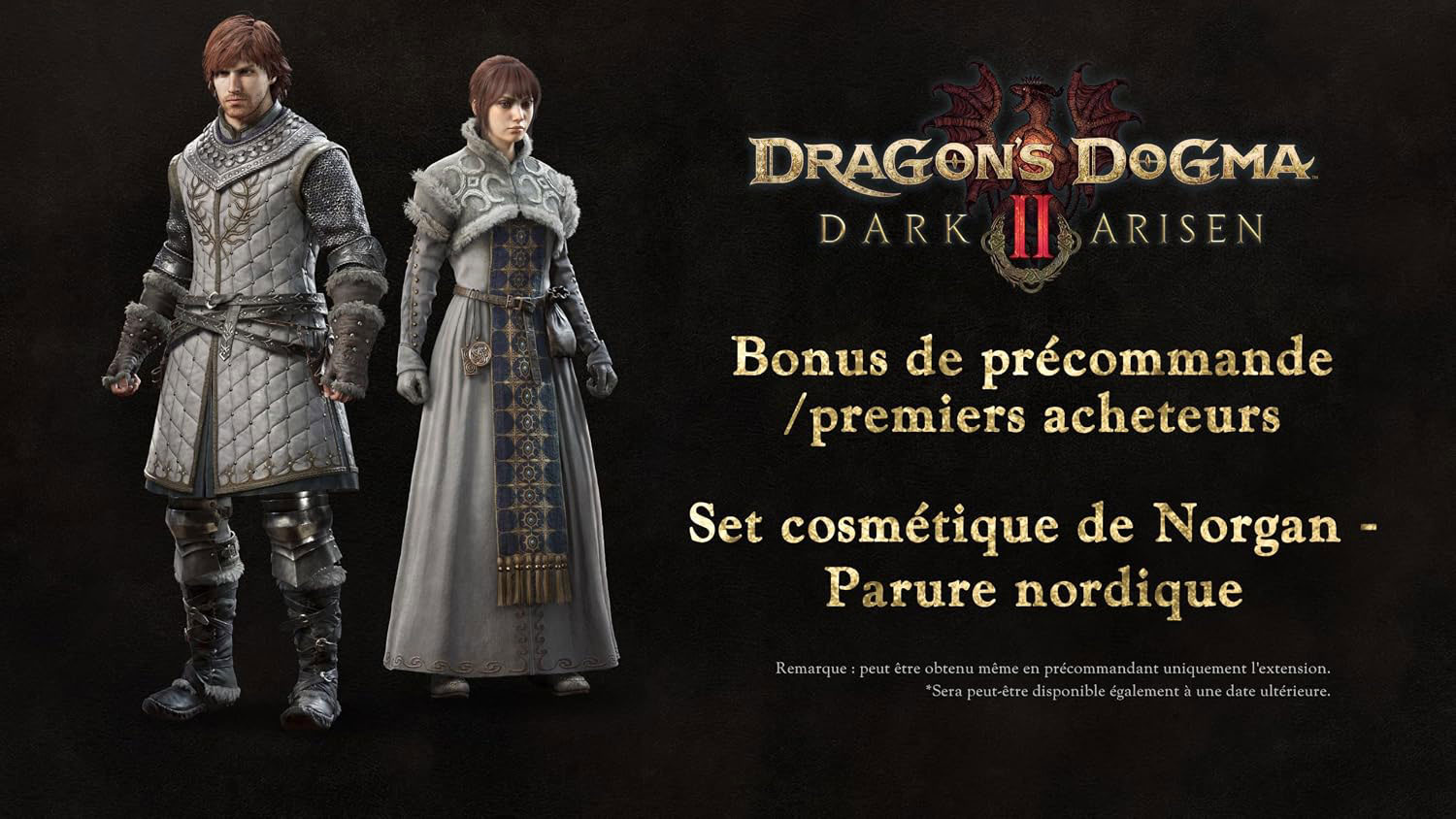 Dragons Dogma 2  II Dark Arisen  Switch 2  дополнительное изображение 1