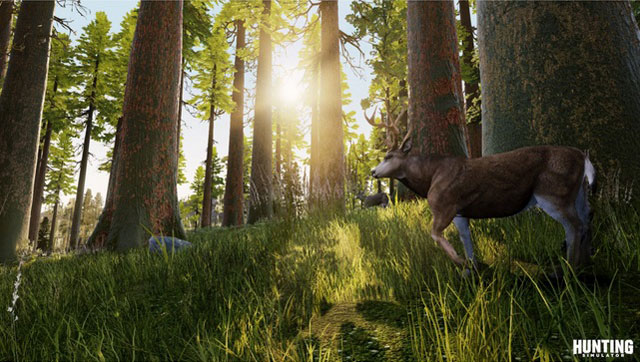 Hunting Simulator US PS4 дополнительное изображение 1