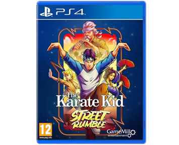 Karate Kid Street Rumble (PS4) ПРЕДЗАКАЗ!