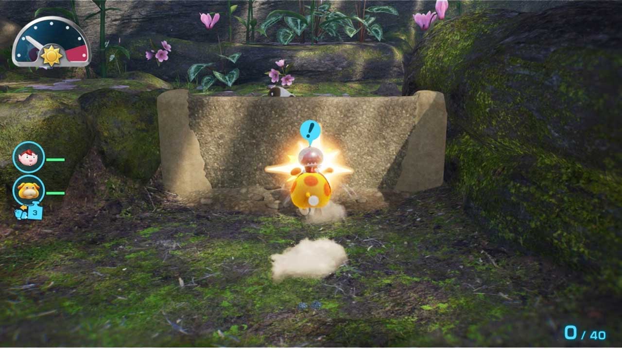 Pikmin 4 и Dandori Academy  Switch 2  дополнительное изображение 1