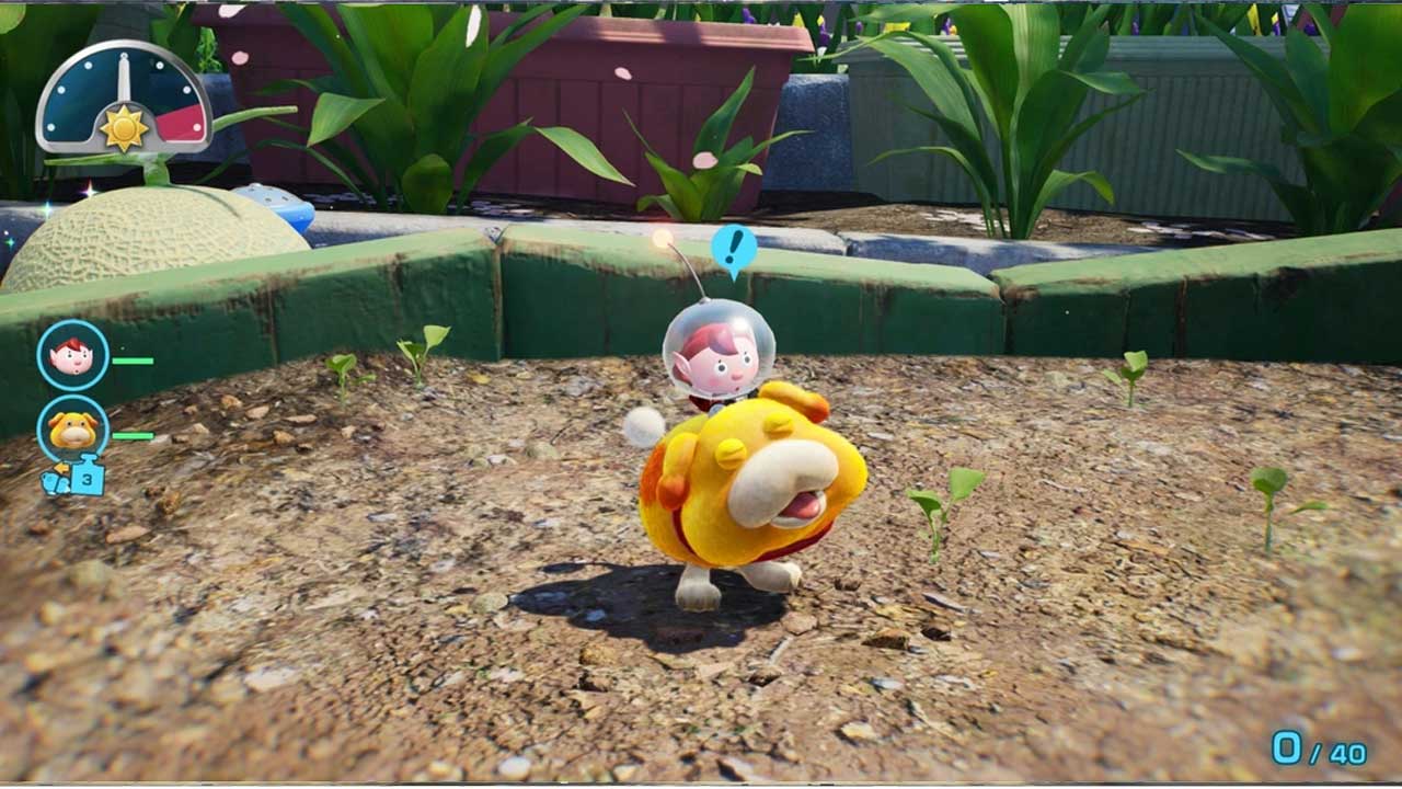 Pikmin 4 и Dandori Academy  Switch 2  дополнительное изображение 3