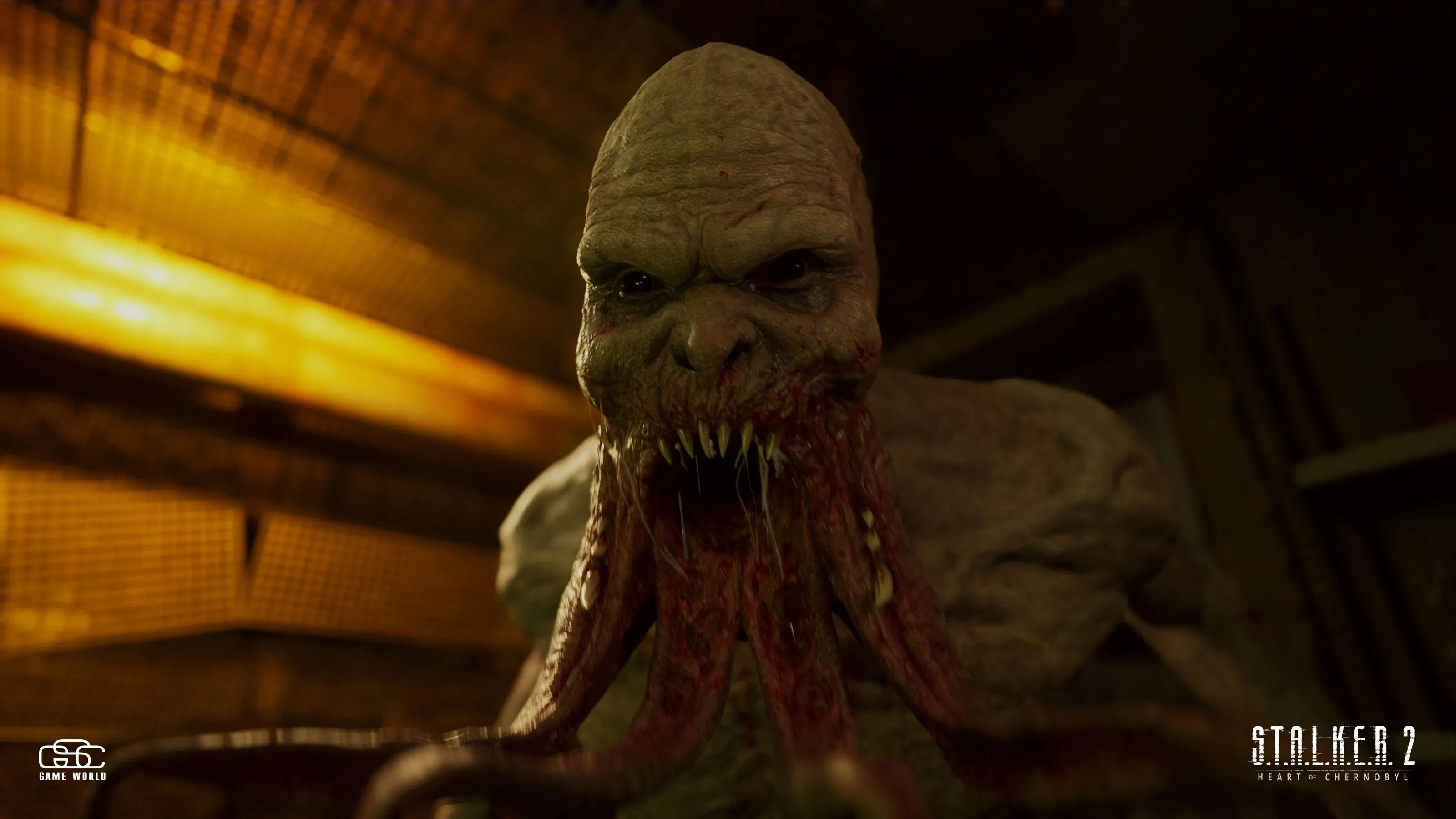 Stalker 2 S.T.A.L.K.E.R. 2  Heart Of Chornobyl  PS5  дополнительное изображение 1