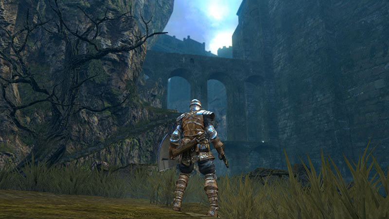 Dark Souls Remastered  Nintendo Switch дополнительное изображение 3