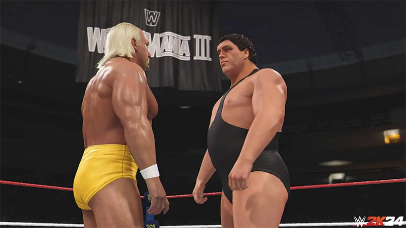 WWE 2K24  PS5  дополнительное изображение 2