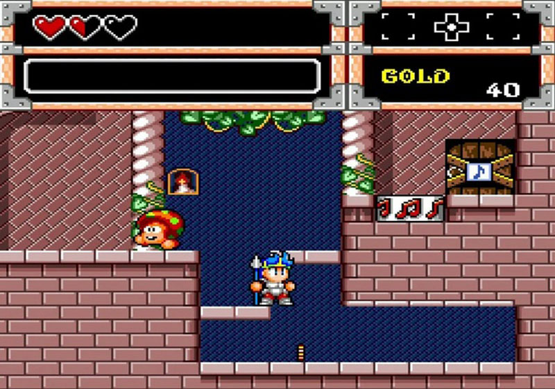 Wonder Boy Collection  Nintendo Switch дополнительное изображение 3