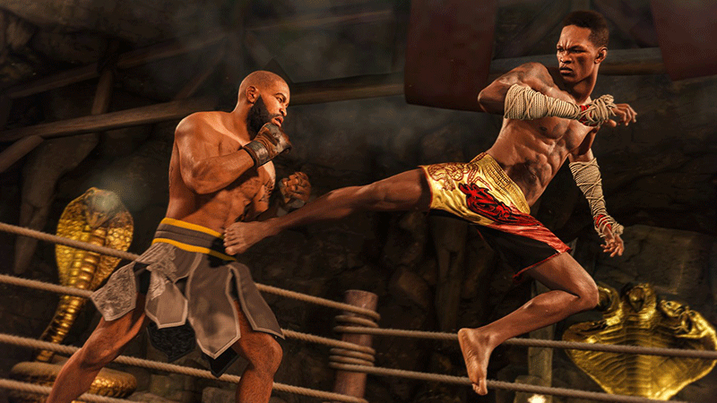UFC 4  PS4 дополнительное изображение 1